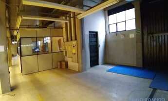 Imagem 5: GALPÃO - LIMÃO - SP