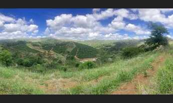 Imagem 7: Fazenda de Café - Arábica - Negócio e Renda
