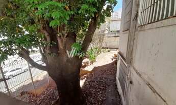 Imagem 6: Casa - Cambuí - Campinas