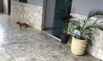 Imagem 2: Alugo casa no Parque São Jorge