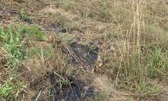 Imagem 4: VENDE - SE ÁGIO DO LOTE HIDROLÂNDIA (GO