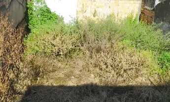 Imagem 3: Vendo terreno no santa Maria