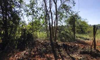 Imagem 2: Chácara Terreno / lote com venda por R$95.000