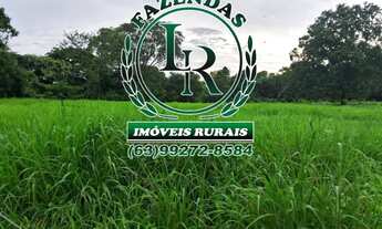 Imagem: Fazenda 29 Alqueires Região Aparecida Rio