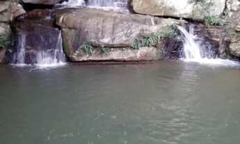 Imagem 6: Fazenda 28,5 alqueires cidade de goias