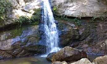 Imagem 4: Fazenda 28,5 alqueires cidade de goias