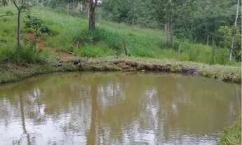 Imagem 5: Linda Chacara pertinho de Goiânia