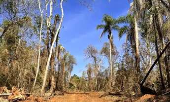 Imagem 2: INVISTA EM LOTES DE 600M² À 10 MIN DE TERRA PRETA