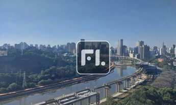 Imagem 7: Conjunto no parque da cidade