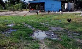 Imagem 6: Vende-se chácara