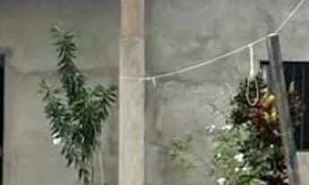 Imagem: Gt Casa na Cabanagem com Quintal grande