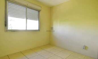 Imagem 6: Apartamento 3 quartos para aluguel Pelotas