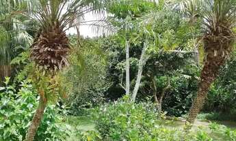 Imagem 2: Terreno Residencial em Sambaqui