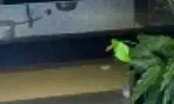 Imagem 3: Apartamento para Venda em Teresina, Gurupi, 2 dormitórios, 1 suíte, 2 banheiros, 1 vaga