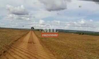 Imagem 7: Fazenda em Arenópolis-GO. 92 Alqueires