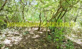 Imagem 4: Sítio 2,50 hectares, muita água, entre Uberlândia e Monte Alegre