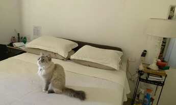 Imagem 4: PREÇO DE OPORTUNIDADE! Apartamento à venda no edifício MAROC, Jardim Adriana