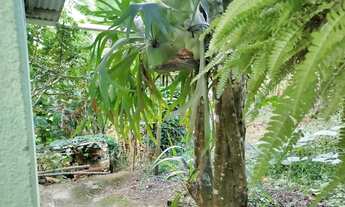 Imagem: Venda-se este sitio de 1.200 M2 no Município