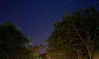 Imagem 7: SITIO EM MADALENA COM CACHOEIRA PARTICULAR