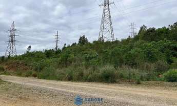 Imagem 3: Terreno RS122 com 29.096m² saida para Flores Cunha