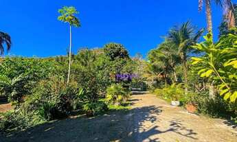 Imagem 7: Sítio maravilhoso em Itaipu