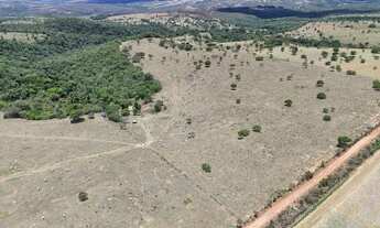 Imagem 7: Fazenda 25 alqueires