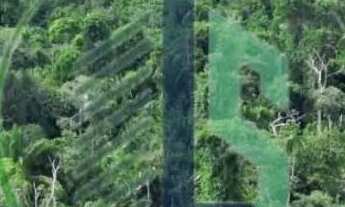 Imagem 7: Vendo Fazenda Fazenda / sítio com venda por R$12.270.000