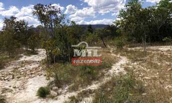Imagem 7: Fazenda 960 alqueires (4.646 hectares) Colinas Do Sul - Go