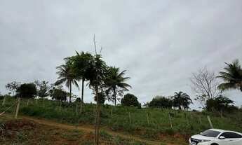 Imagem 2: Terreno mil metros próximo a Iriri