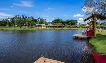 Imagem 7: Imóvel para venda com 1000 metros quadrados em Área Rural de Trindade - Trindade - GO