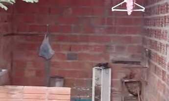 Imagem 7: Casa bairro pedro balzi