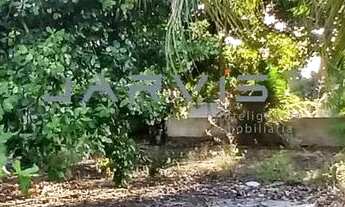 Imagem 2: Vendo terreno na Massagueira, 250 m2, rua calçada e próximo a Lagoa - R$ 170.000