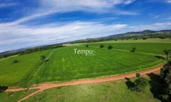 Imagem 4: Fazenda 3 alqueires em Anicuns - Excelente para plantio