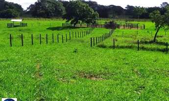 Imagem 2: Fazenda à Venda em Morrinhos (GO) 128 Hectares - Estrutura Completa