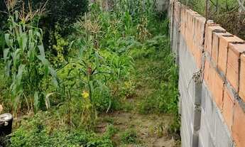 Imagem 4: Mine sítio Terreno / lote com venda por R$40.000