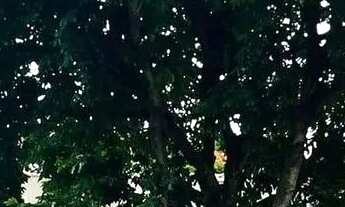 Imagem: Na melhor localização de Marialva - Casa