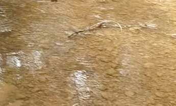 Imagem: Vendo terreno rural no girassol