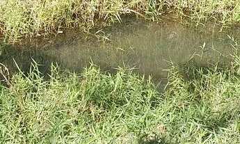 Imagem 6: Chácara para pessoas de bom gosto!