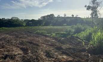 Imagem 2: Terreno 1350m2 em rua asfaltada