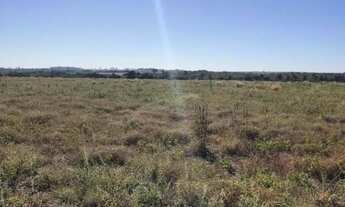 Imagem 6: Fazenda à Venda 49 Alqueires entre Piranhas e Bom Jardim GO