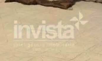 Imagem 4: Apartamento para aluguel no bairro Macuco