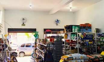 Imagem: Comércio ferragem e agropecuária pronto