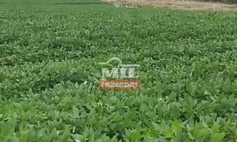 Imagem: Fazenda 362 alqueires (1.750 hectares) Doverlândia