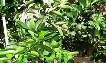 Imagem 2: LINDA CASA A VENDA NA CIDADE DE MONTE MOR SP