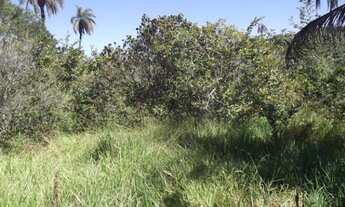 Imagem 5: Terreno Rural de 80.000m², Serra do Cipo (Temos varias opções)