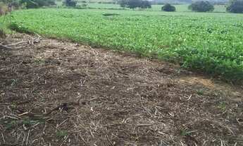 Imagem 3: Vende-se uma excelente fazenda de 123 Alqueires