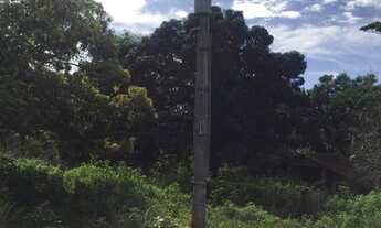 Imagem 5: Vende-se uma excelente fazenda de 123 Alqueires