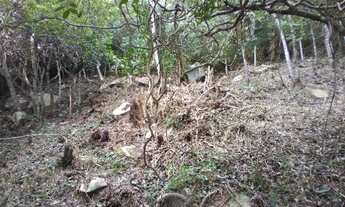 Imagem 7: Terreno no Pantano do sul com vista para o mar