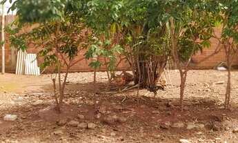 Imagem 6: Casa Casa em condomínio com 1 dormitório