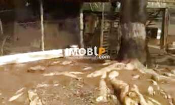 Imagem 6: Chácara 8ha., 15km de Vila Boa, Casa Grande, terra cultura